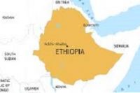 Ethiopia invites foreign telecom operators