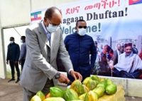 Eritrean President Isaias concludes Ethiopia visit