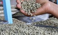 Ethiopia export income increases by $721 million