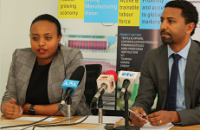 Ethiopia set to make industrial parks more productive