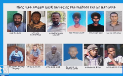 Ethiopian intelligence foils Al-Shabaab, ISS attacks