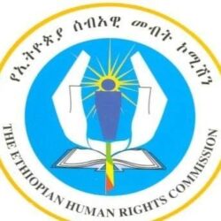 Commission calls for civilians protection in Ethiopia's Tigray