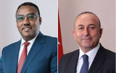 Ethiopia, Turkey foreign ministers discuss current affairs