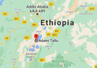 Seven passengers die in traffic accident in Ethiopia