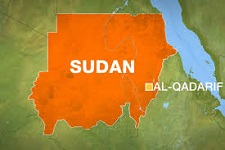 Sudan arrests senior TPLF militia leader
