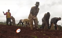 French malt factory in Ethiopia begins production