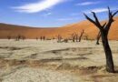 ECA leads Africa’s fight against climate change