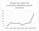 Why agriculture is promising investment in Ethiopia