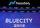 BlueCity Holdings Limited sued for misleading shareholders