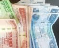 Ethiopia approves 561 billion Birr budget for next year