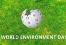 African businesses urged to protect environment