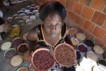 Protecting biodiversity crucial to fighting hunger