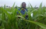 Africa’s second plant breeding conference kicks off in Rwanda