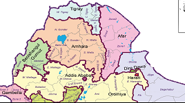 Survivors of TPLF attack in Amhara describe gang rape - Amnesty International