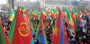 Ethiopians, Eritreans diaspora demonstrate against neo-colonization
