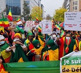 Ethiopians diaspora demonstrate supporting Abiy Administration