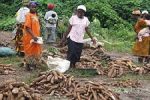 Africa’s most populous country set to boost agriculture