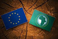 African thought leaders discuss EU-Africa trade