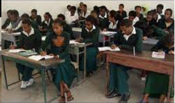 Diaspora fund to build four schools in Ethiopia