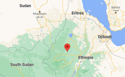 Ethiopia OLF Shene kills 392 civilians, displaces 128,200