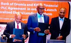 Ethiopia introduces collateral free digital lending