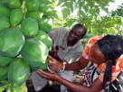 Nominations for Africa Food Prize 2022 opens