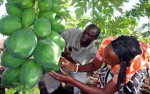 Nominations for Africa Food Prize 2022 opens