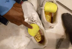 Ethiopia Customs seize 2 kg gold at Bole Airport