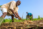 Global leaders to discuss financing inclusive post-COVID world