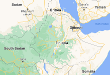 Ethiopia declares humanitarian ceasefire in Tigray region