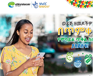 Ethiopia postpones privatization of Ethio Telecom