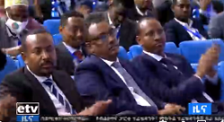 Ethiopia ruling party introduces presidential system