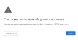 Why Ethiopian government websites are not secure