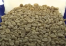 Ethiopia generates $894 million from coffee export