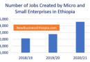 Tips for utilizing full potential of businesses in Ethiopia