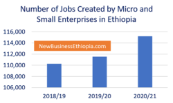 Tips for utilizing full potential of businesses in Ethiopia