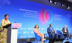 Paris conference calls for African production network