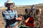 UN calls for more climate finance to support small-scale farmers
