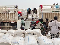 WFP delivers 308 trucks of food to Tigray, Ethiopia