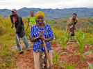 Innovative initiative to transform African agriculture