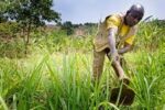 Why data-driven agriculture is vital