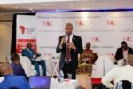 Domestic resource mobilization A solution to tackle Africa's multiple crises