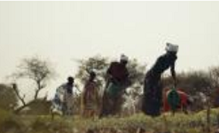 Farmers in South Sudan on a path to success
