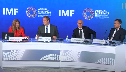 Emerging market face multiple risks, IMF report