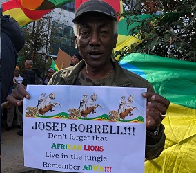 Ethiopians protest in front of European Commission