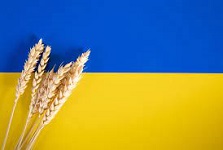 Germany, France help Ukraine wheat delivery to Ethiopia and Somalia