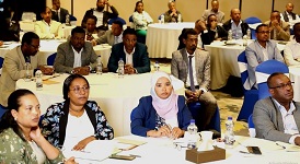 Ethiopia increases tax revenue 31 percent