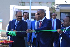 Ethiopia invests 30 billion Birr in 3 agroindustry parks
