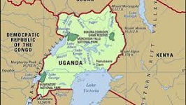Uganda improves public investment management, IMF says