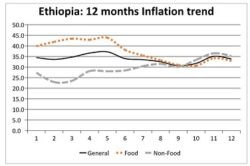 Ethiopia food inflation slightly decreases